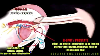 3222 anal sex porn videos